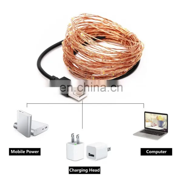 Home Decoration 100Leds/10Meters USB Rechargeable Copper Wire Led String Lights photo-2