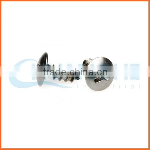 China Supplier Custom Anti-theft Screw photo-3