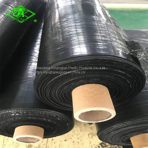 Plastic Mulch Film for Strawberry Planting photo-4