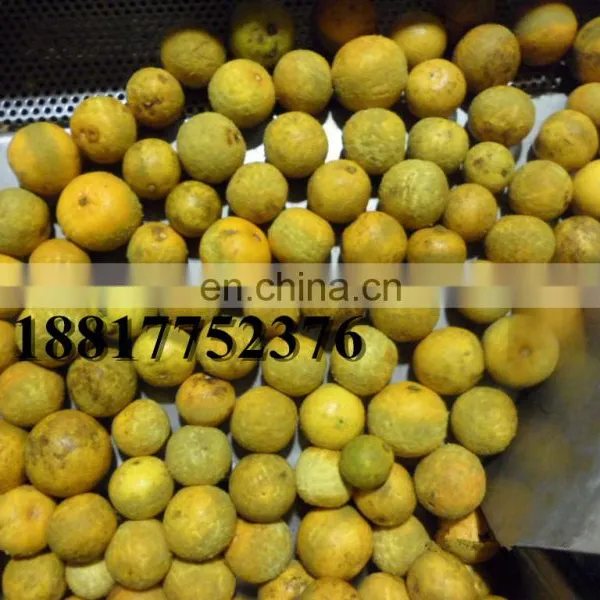 High Efficiency Lime Skin Oil Processing Machine photo-2