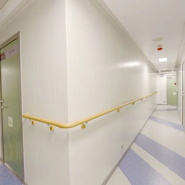 Japanese Nursing Home Handrails, Circular Handrails, Accessible Handrails, Wall Handrails photo-4