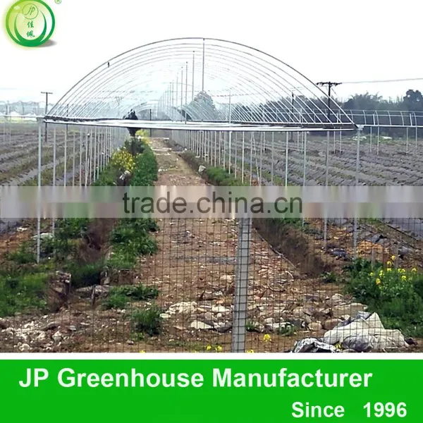 Low Tunnel Greenhouse For Blueberry, Strawberry Quality Choice photo-6