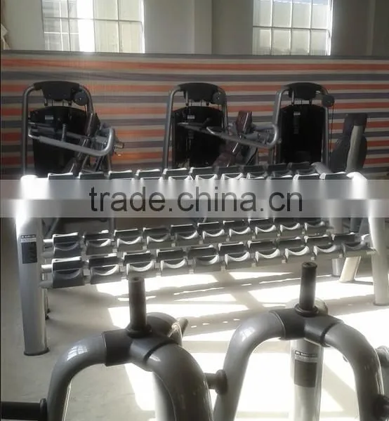 Back Extension TZ-8006/Tian Zhan Fitness Machine photo-2