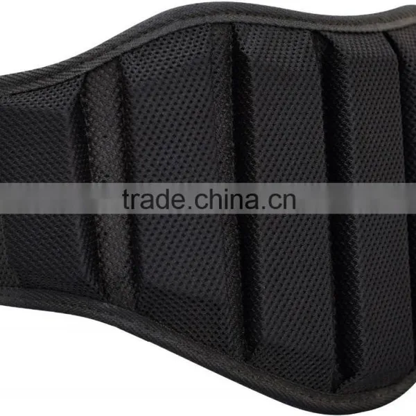 Back Support Belt