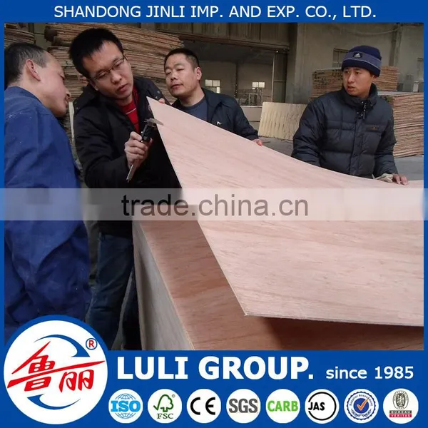 Hot Sale Door Skin Plywood photo-5