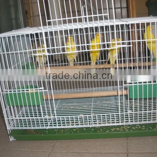 Bird Cage photo-6