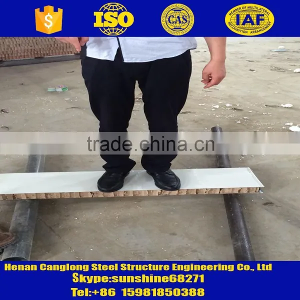 Honeycomb Paper Board fo Rsteel Buildings Cladding photo-4