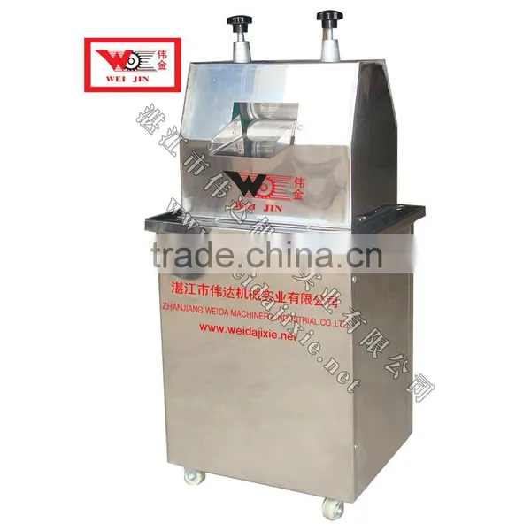 ginger juice extraction machine