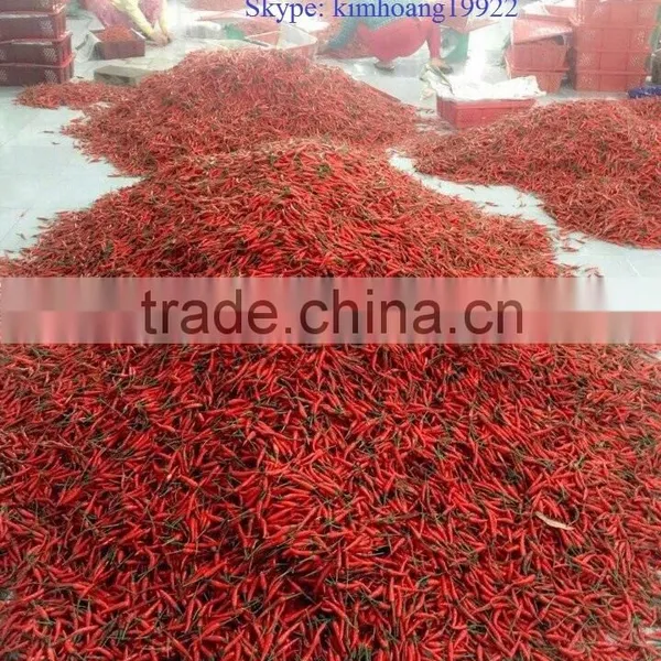 Chili Peppers photo-4