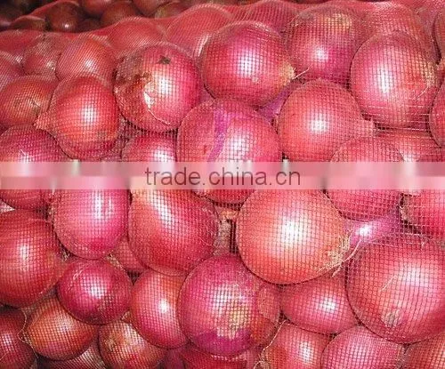 2015 Crop Lowest Price Fresh Red Onion photo-2