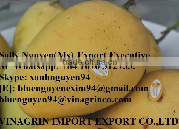 VIETNAM FRESH MANGO photo-2
