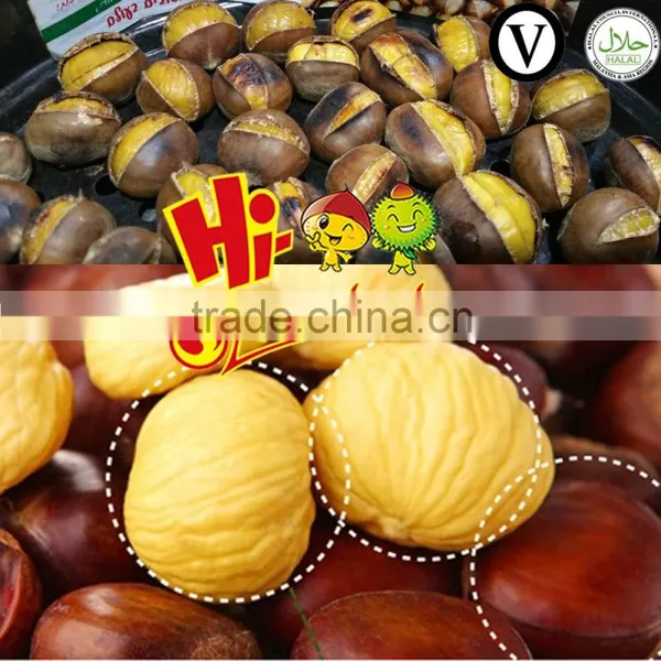Hot Selling Big Size Chinese Chestnuts--Tai an Chestnuts photo-3