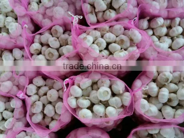 Normal White Fresh Garlic With Carton Mesh Bag photo-6