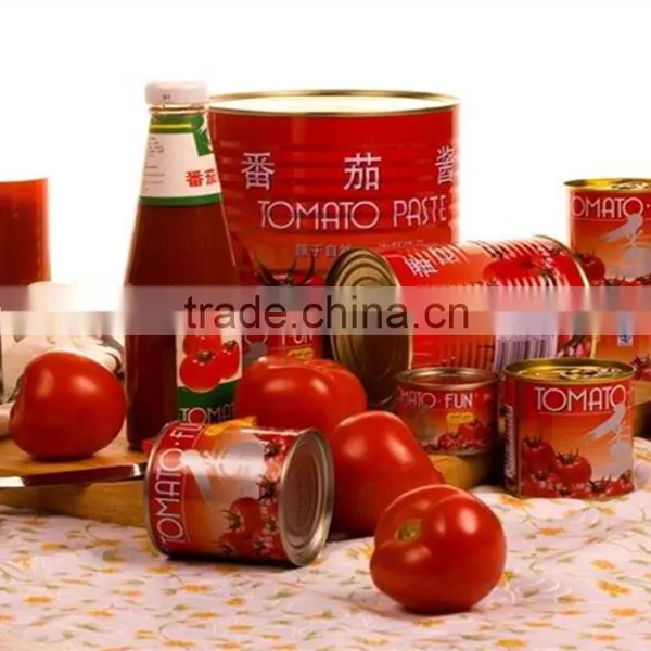 Price of Tomato Paste in Drum Tomato Paste 28-30% In Bottles or Drums photo-5