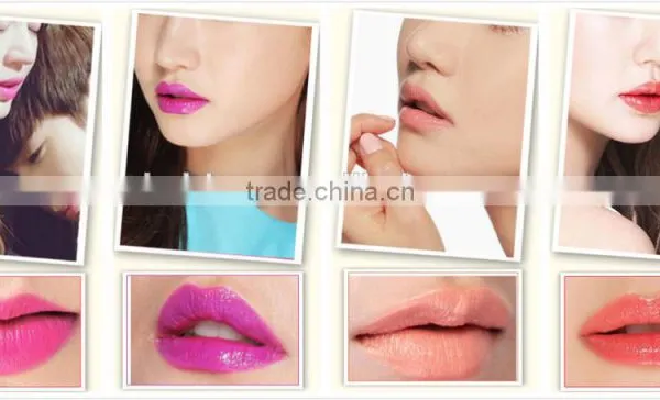 Wholesale Long Lasting Lipstick Tube Matte Lipstick Case for Cosmetic Use photo-6