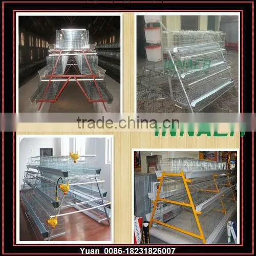 Chicken Cage Equipment &automatic Chicken Cage for Poultry Farm