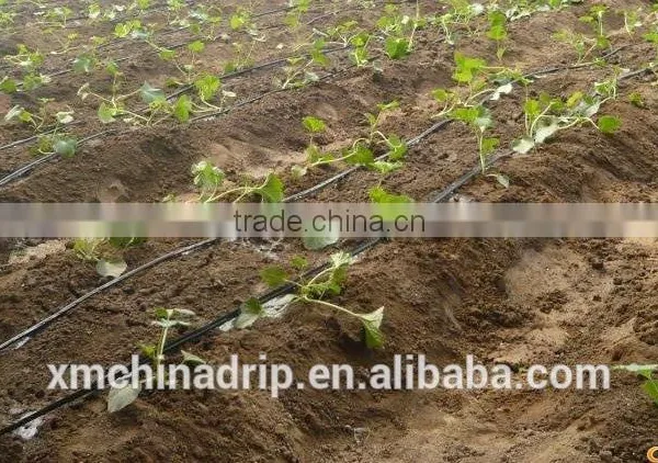 Chinadrip Garden Systems Sprinkler Drip Irrigation photo-4