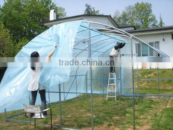 Tunnel Greenhouse photo-5