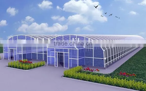 Commercial Plastic Hoop Vegetable Greenhouse photo-5