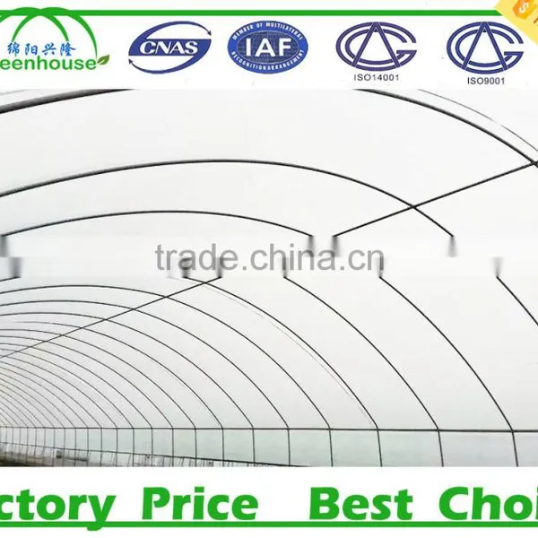Commercial Inflatable Poly Tunnel Greenhouse for Sale photo-4