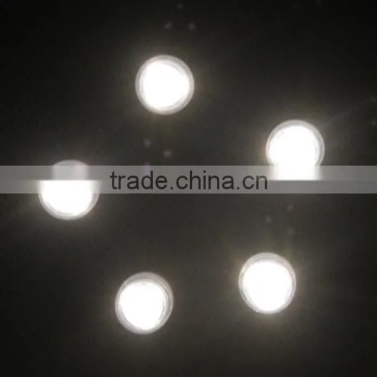 Hot Sale LED Submarine Light/Waterproof LED Light photo-3