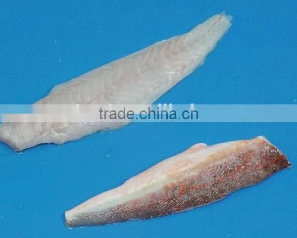 Red Gurnard With Frozen photo-2