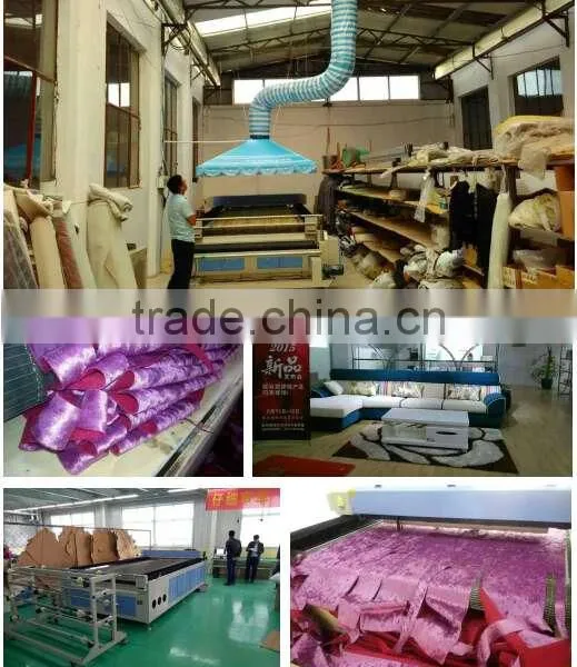 Laser Fabric Cutting Machine photo-4