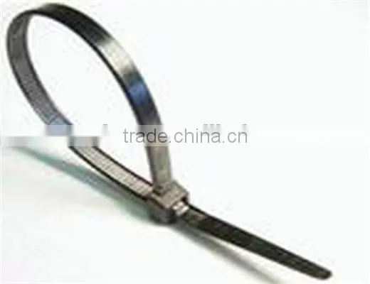 Booster Colored New Designed Cable Tie for Fixing, Made in China photo-3