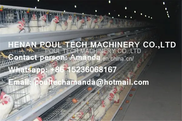 Tanzania Poultry Farm Hot Galvanized Cage & A Type Battery Cage Layer Breeding Chicken Cage & Coop for Poultry Farm photo-4