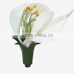 Pea Flower Model