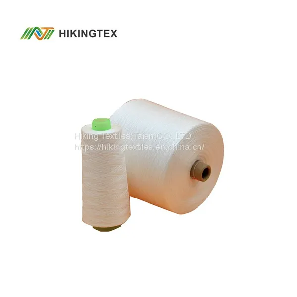 Anti-Bacterial Cotton Yarn-TechNA Cotton photo-3