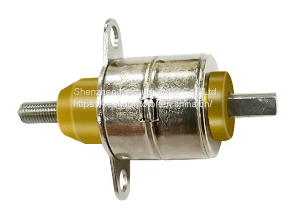 10BY Strentching Stepper Motor photo-2