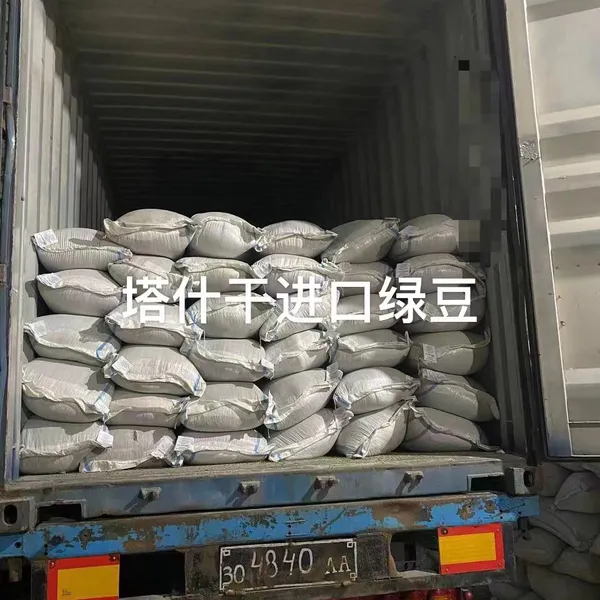 Tashkent to Zhengzhou/Luoyang /Yiwu/ Hefei 40 HQ , Import Cargo photo-2