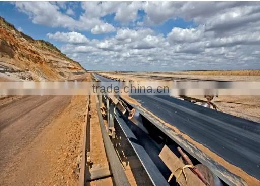 Made in China Polyester Conveyor Belt China Supplier photo-3