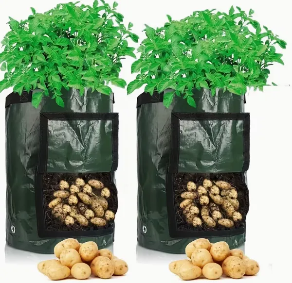 Heavy Duty Non-woven Fabric Potato Grow Bags With Harvest Window and Handles for Home Garden Vegetable Planting photo-4