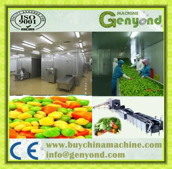 Instant Freezer/meat/food Freezing Machine 500kg/h photo-5