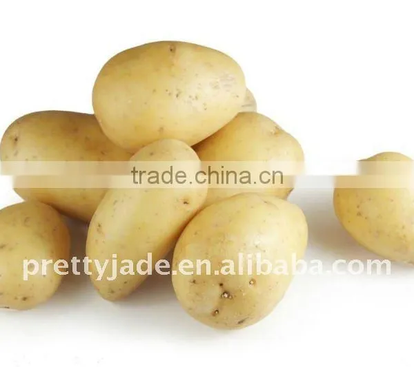 Supply Fresh Yellow Potato From China