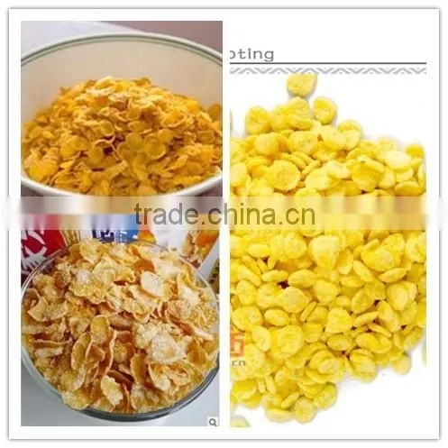 Hot Selling Corn Flakes Production Plant photo-6
