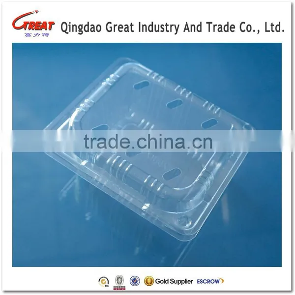 Blueberry Plastic Container Plastic Fruit Container Fruit Packaging Box for Blueberry Cherry 1000 Gram photo-6