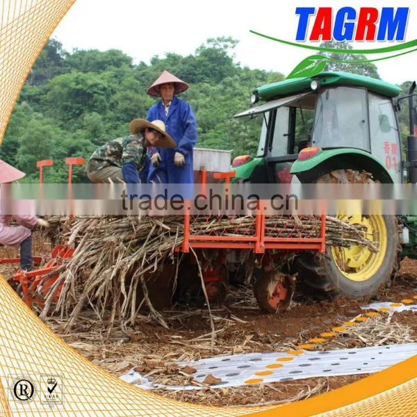 Automatic Sugarcane Seed Planting Machine/sugarcane Planter/sugarcane Planting Machine 2CXZ-2 photo-3