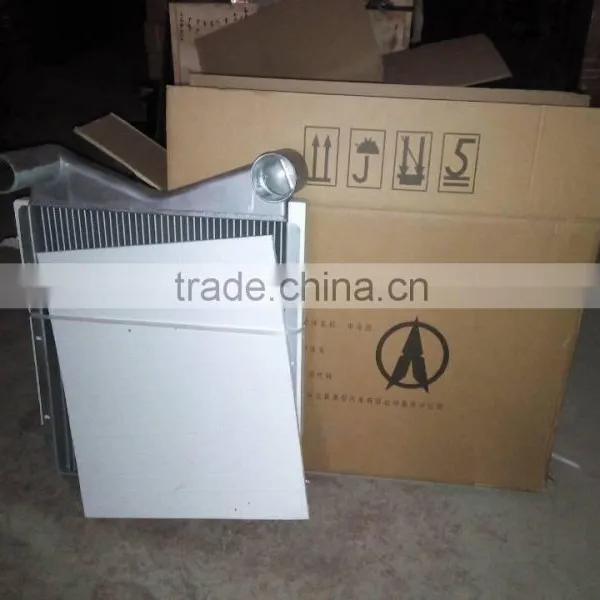 Sinotruk Truck Parts for Howo Hot Sales Cooling System WG9725530020 Intercooler photo-4