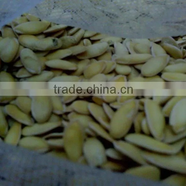GWS Snow White Pumpkin Seeds Shine Skin Pumpkin Seeds Best Pumpkin Seeds Recipe photo-2