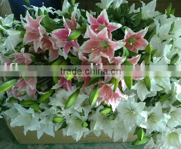 Imitation Lily Flower