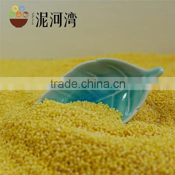 Organic Yellow Millet Bulk and Vacuum Packing Export Grade 2016 Crop photo-6