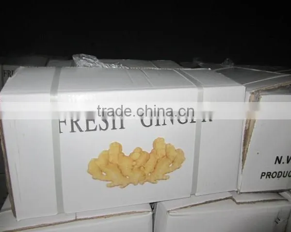 2016 Competitive Price Mesh Bag Ginger photo-5