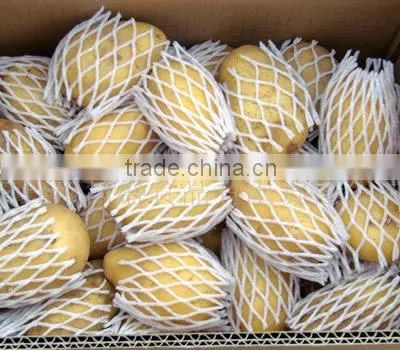 New Crop Potatoes