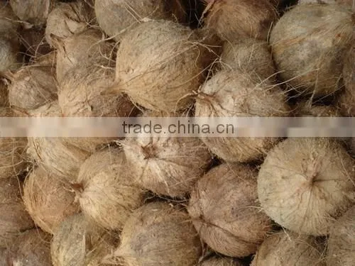 COCONUT
