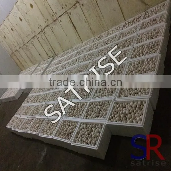 White Button Mushroom Mushroom Spawn