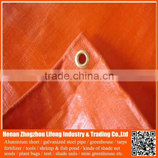 Chinese Factory Supply Plastic Hdpe Tarp for Tent Roofing Cover photo-5