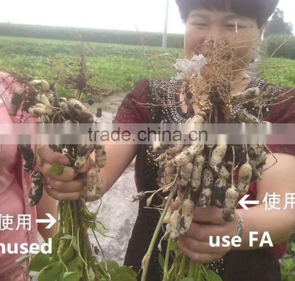 Fulvic Acid Fertilizer photo-5